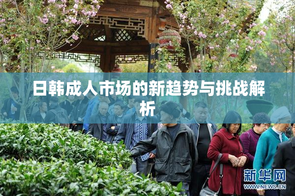 日韩成人市场的新趋势与挑战解析