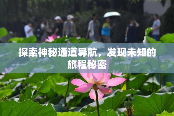 探索神秘通道导航，发现未知的旅程秘密