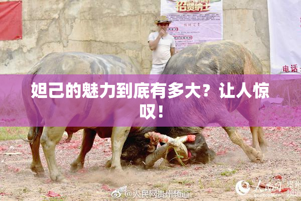 妲己的魅力到底有多大？让人惊叹！