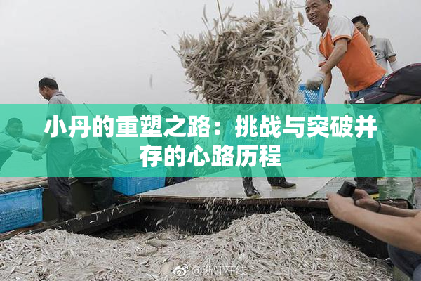 小丹的重塑之路：挑战与突破并存的心路历程