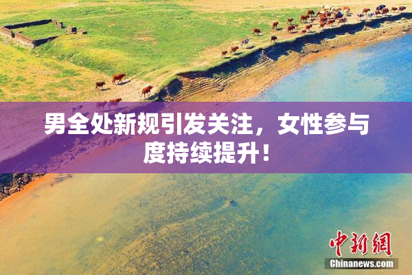 男全处新规引发关注，女性参与度持续提升！