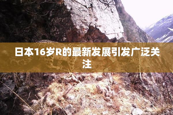 日本16岁R的最新发展引发广泛关注