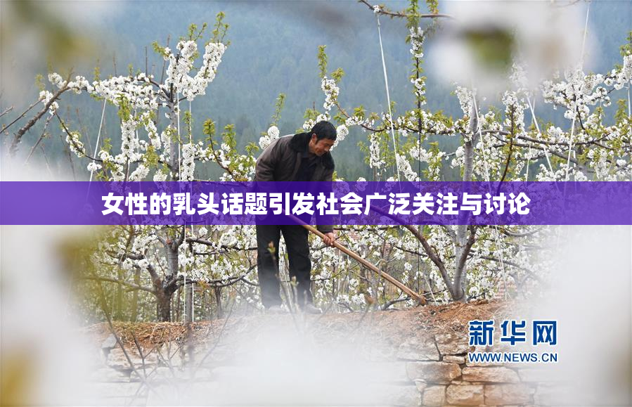 女性的乳头话题引发社会广泛关注与讨论