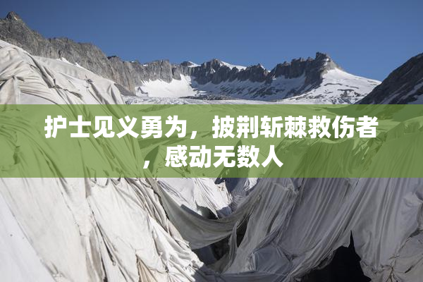 护士见义勇为，披荆斩棘救伤者，感动无数人