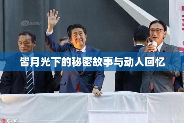 皆月光下的秘密故事与动人回忆