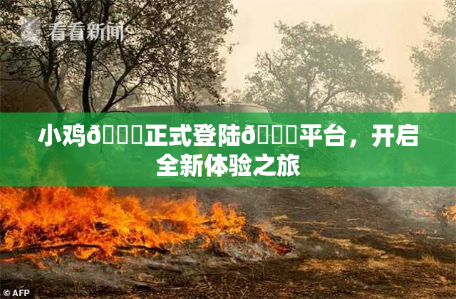 小鸡🐔正式登陆🍑平台，开启全新体验之旅
