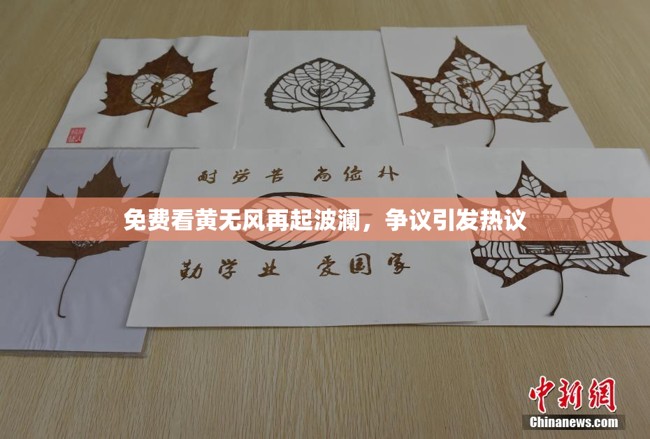 免费看黄无风再起波澜，争议引发热议