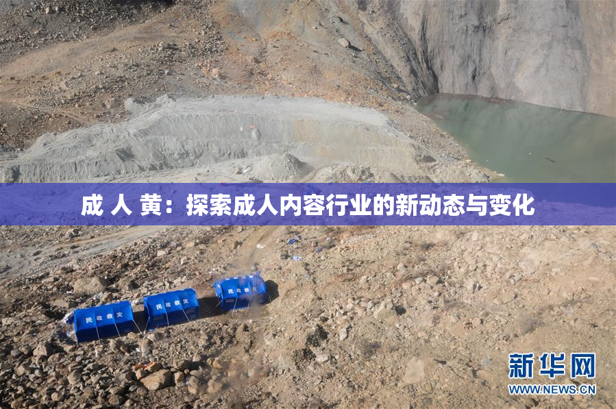 成 人 黄：探索成人内容行业的新动态与变化