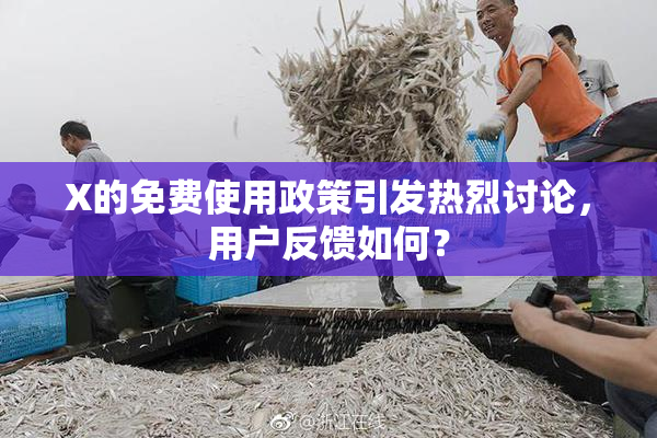 X的免费使用政策引发热烈讨论，用户反馈如何？