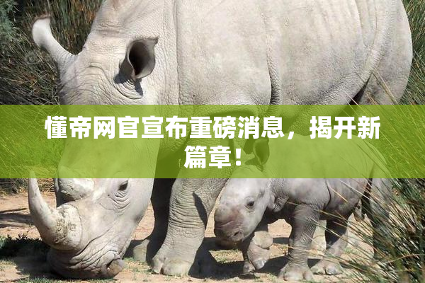懂帝网官宣布重磅消息，揭开新篇章！