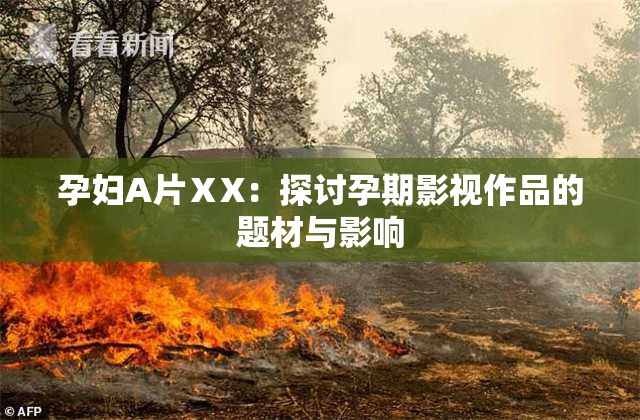 孕妇A片ⅩX：探讨孕期影视作品的题材与影响