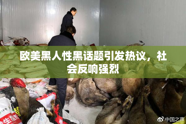 欧美黑人性黑话题引发热议，社会反响强烈