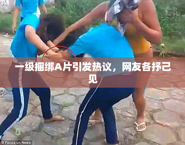 一级捆绑A片引发热议，网友各抒己见