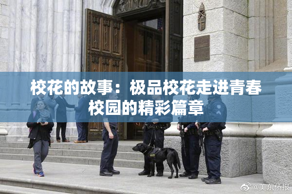 校花的故事：极品校花走进青春校园的精彩篇章