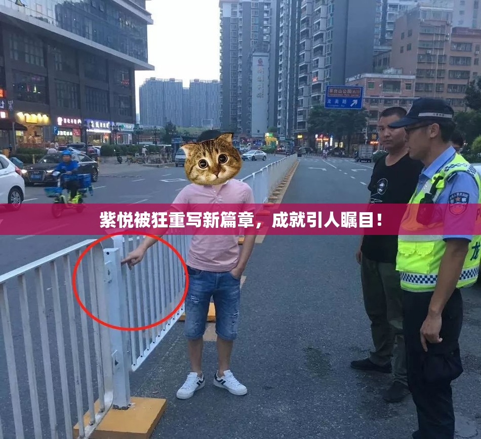 紫悦被狂重写新篇章，成就引人瞩目！