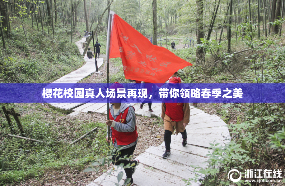樱花校园真人场景再现，带你领略春季之美