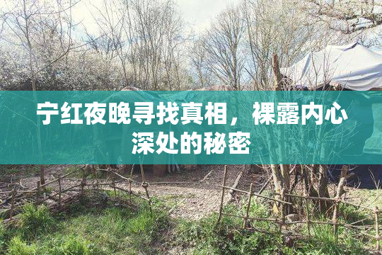 宁红夜晚寻找真相，裸露内心深处的秘密