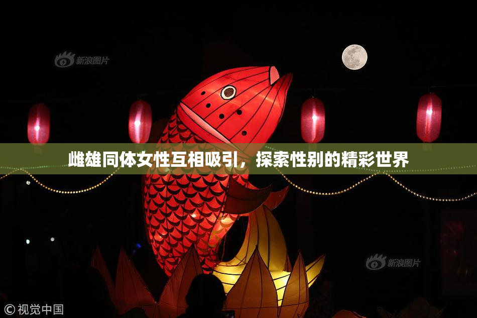雌雄同体女性互相吸引，探索性别的精彩世界