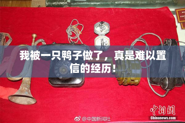 我被一只鸭子做了，真是难以置信的经历！