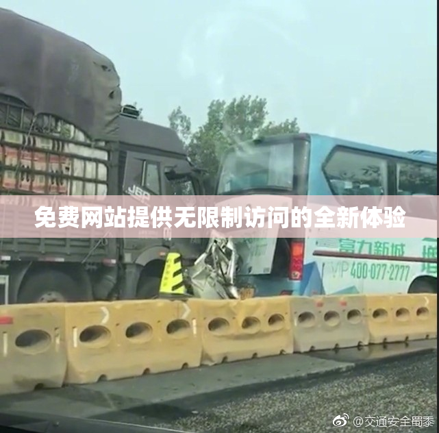免费网站提供无限制访问的全新体验