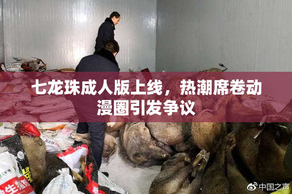 七龙珠成人版上线，热潮席卷动漫圈引发争议