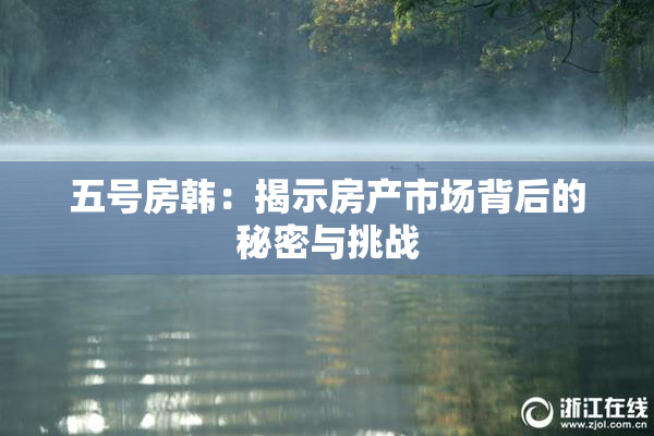 五号房韩：揭示房产市场背后的秘密与挑战