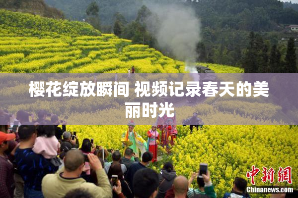 樱花绽放瞬间 视频记录春天的美丽时光