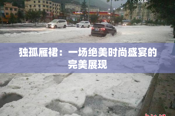 独孤雁裙：一场绝美时尚盛宴的完美展现