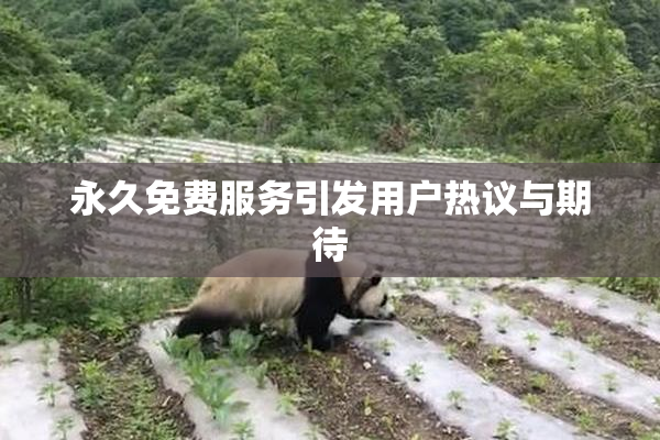 永久免费服务引发用户热议与期待