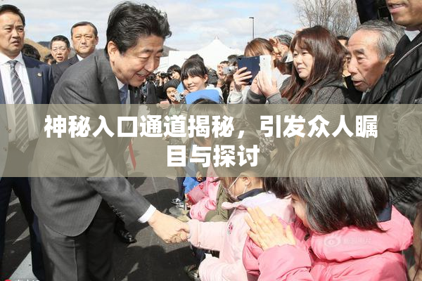 神秘入口通道揭秘，引发众人瞩目与探讨