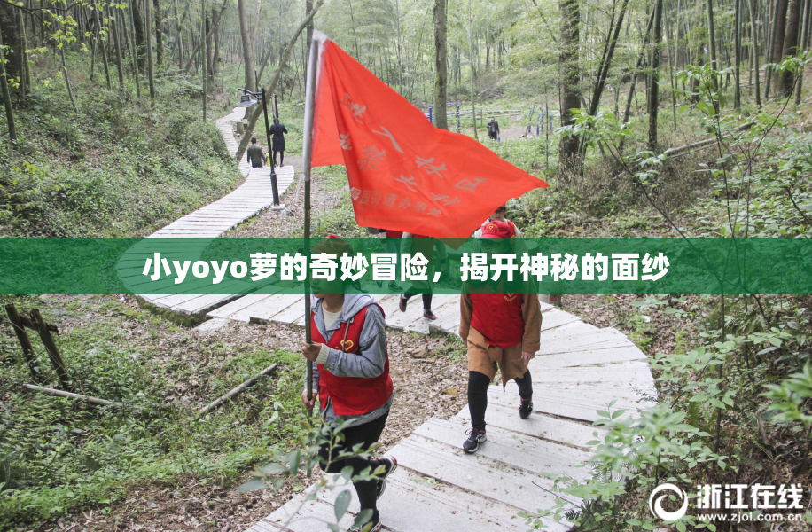 小yoyo萝的奇妙冒险，揭开神秘的面纱