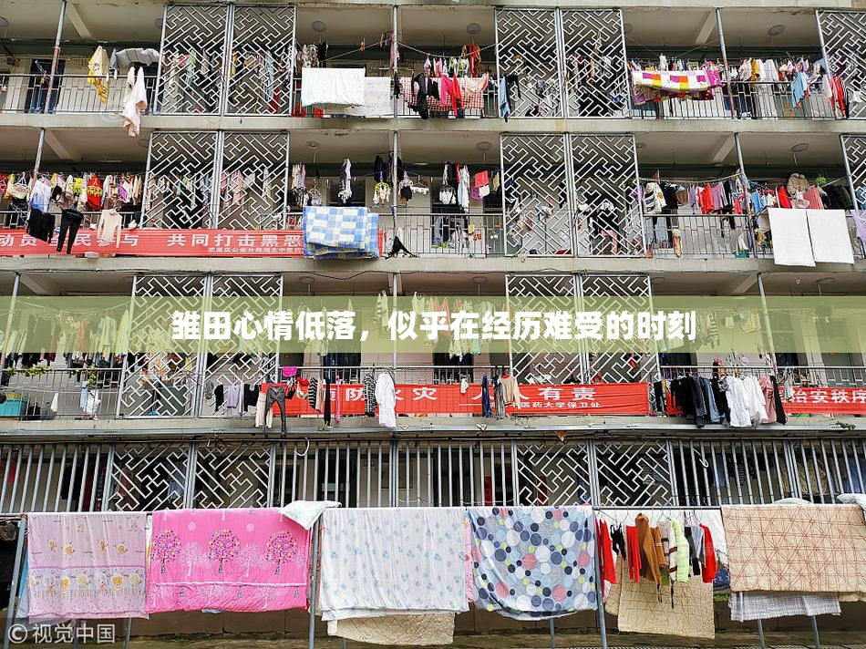 雏田心情低落，似乎在经历难受的时刻