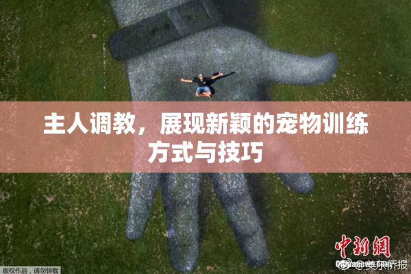 主人调教，展现新颖的宠物训练方式与技巧