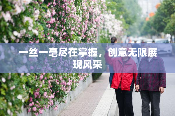 一丝一毫尽在掌握，创意无限展现风采