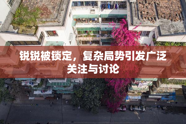锐锐被锁定，复杂局势引发广泛关注与讨论