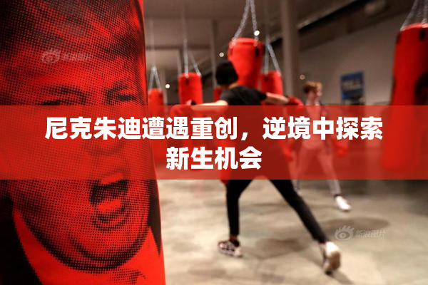 尼克朱迪遭遇重创，逆境中探索新生机会