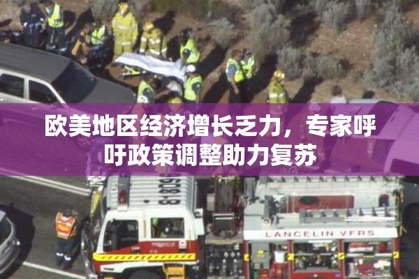 欧美地区经济增长乏力，专家呼吁政策调整助力复苏