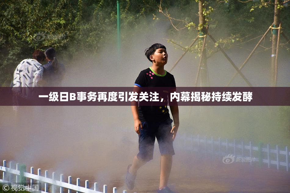 一级日B事务再度引发关注，内幕揭秘持续发酵
