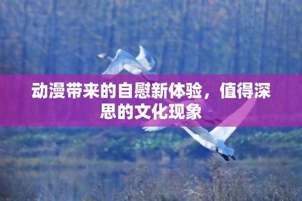 动漫带来的自慰新体验，值得深思的文化现象
