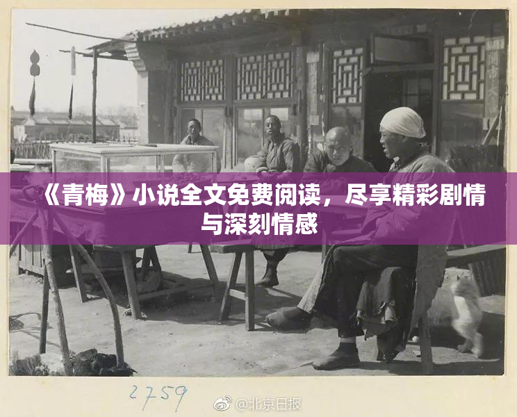 《青梅》小说全文免费阅读，尽享精彩剧情与深刻情感