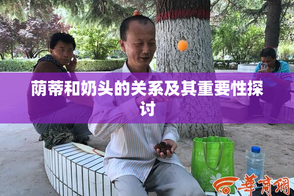 荫蒂和奶头的关系及其重要性探讨