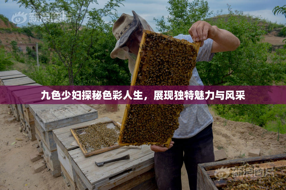 九色少妇探秘色彩人生，展现独特魅力与风采