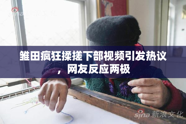 雏田疯狂揉搓下部视频引发热议，网友反应两极