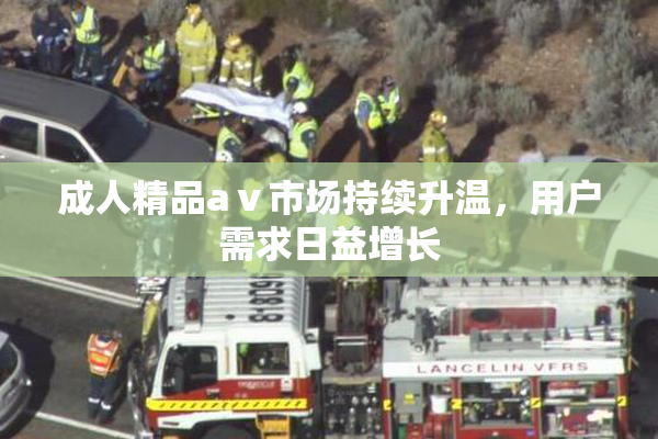 成人精品aⅴ市场持续升温，用户需求日益增长