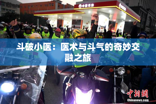 斗破小医：医术与斗气的奇妙交融之旅