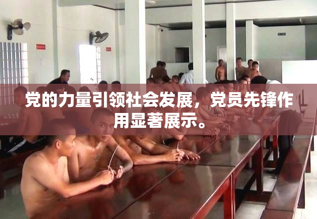 党的力量引领社会发展，党员先锋作用显著展示。