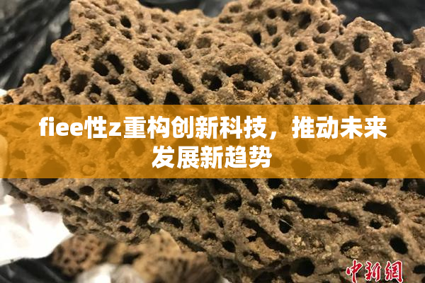 fiee性z重构创新科技，推动未来发展新趋势