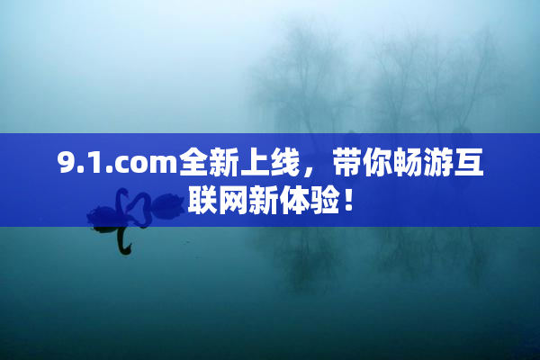 9.1.com全新上线，带你畅游互联网新体验！