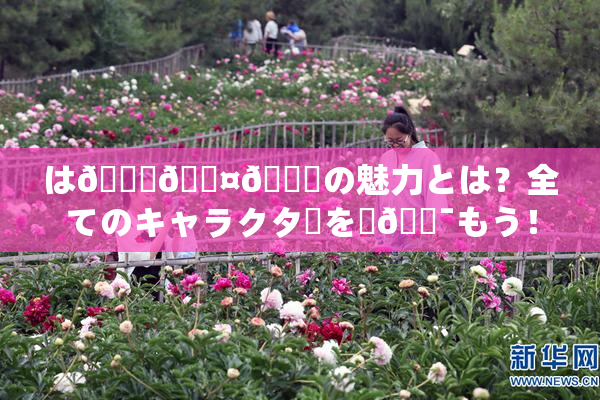 は🍑🖤🌃の魅力とは？全てのキャラクターを楽🔯もう！