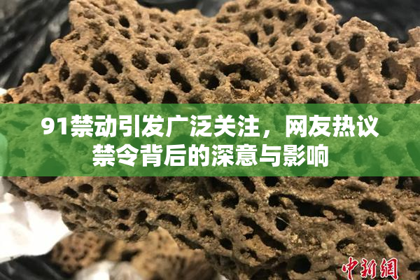 91禁动引发广泛关注，网友热议禁令背后的深意与影响